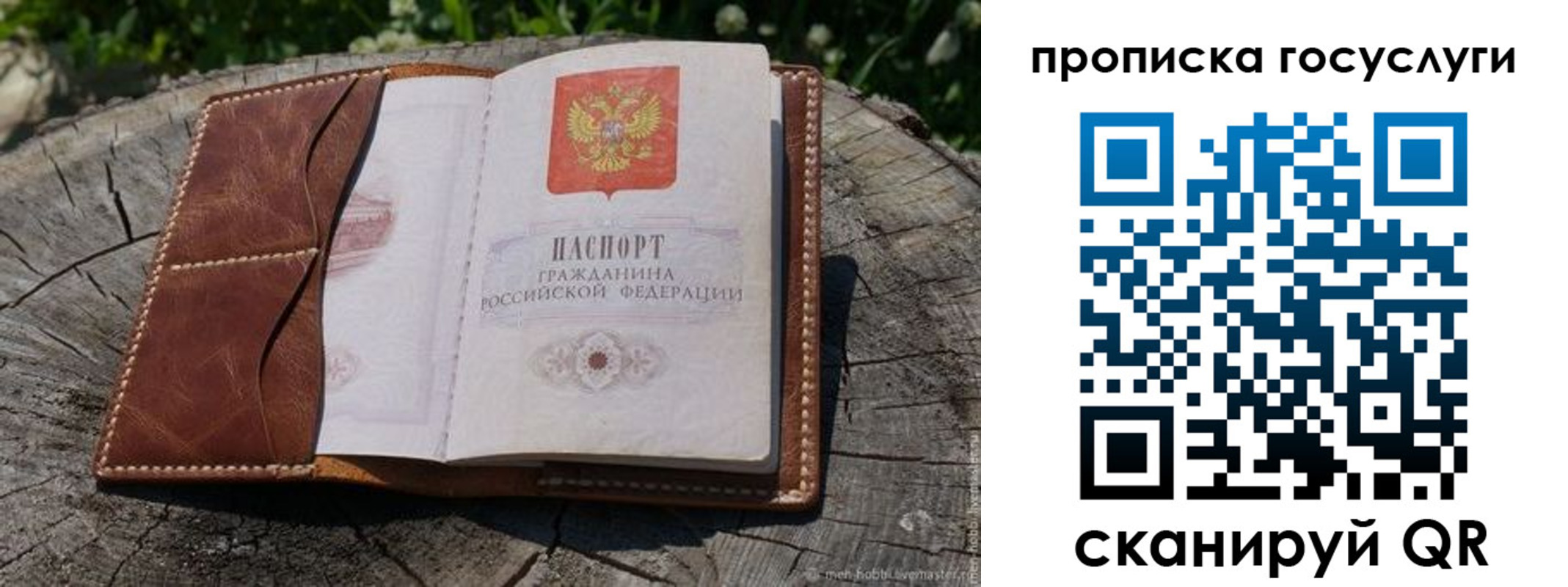 прописка для школы в Рязанской области